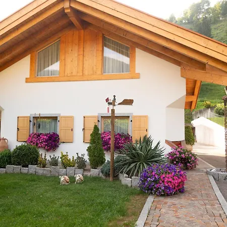 Alfio'S Alpen Suite Roncone Exterior photo